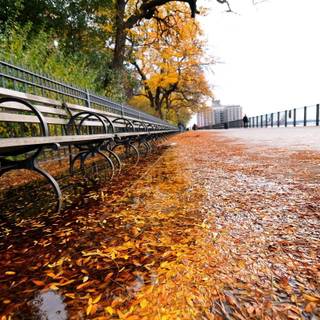 Autumn New York City wallpaper