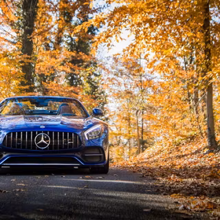 Mercedes AMG autumn wallpaper