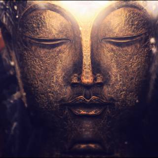 Buddha meditation wallpaper