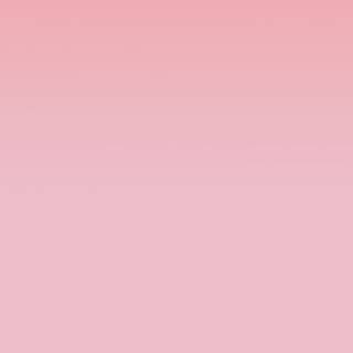 Plane pink wallpaper