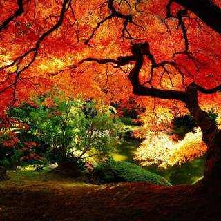 Landscape autumn wallpaper