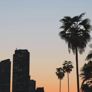 GTA V iPhone wallpaper