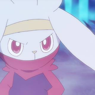 Pokémon Raboot wallpaper