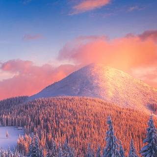 Winter 2022 iPhone wallpaper