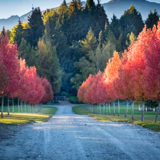 Autumn Belgium wallpaper