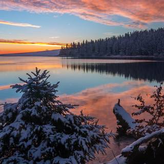 Winter 2022 iPhone wallpaper