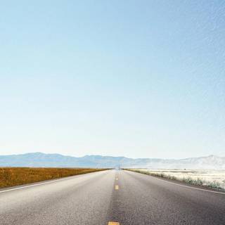 Spring road wallpaper