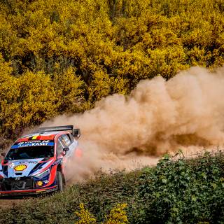 WRC 2022 Rally wallpaper