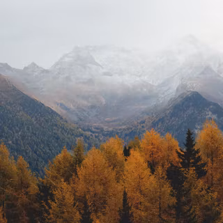 Mountain autumn 4k wallpaper