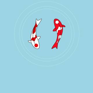 Koi 4k phone wallpaper