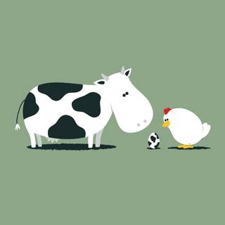 Chicken funny wallpaper