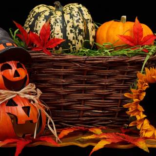 HD autumn pumpkin wallpaper