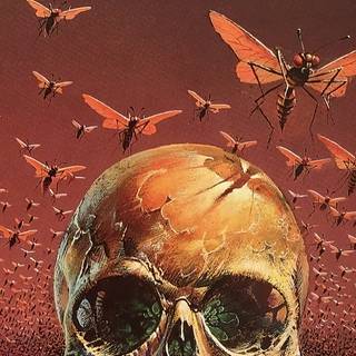 Skeleton iPhone 11 wallpaper