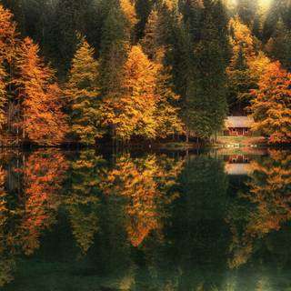 Autumn lakehouse wallpaper