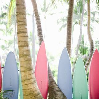Summer asthetic surf board wallpaper