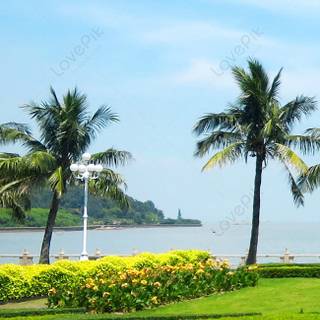 Summer sea road wallpaper