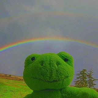 Indie frog wallpaper