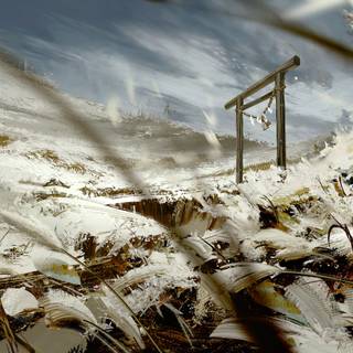 Ghost of Tsushima PC wallpaper