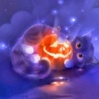 Halloween cat desktop wallpaper