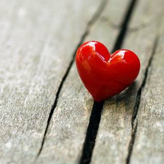 Romantic lover wallpaper