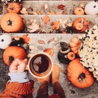 Autumn widget wallpaper