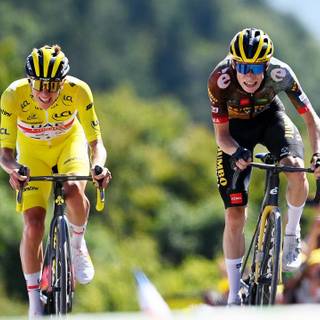 Tadej Pogačar wallpaper