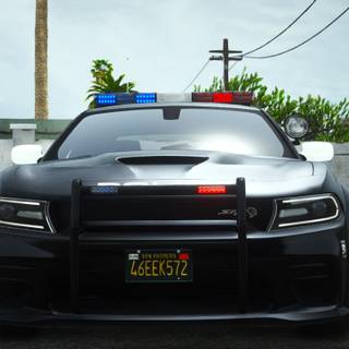Police Hellcat wallpaper