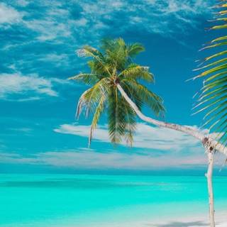 Summer beach vertical wallpaper