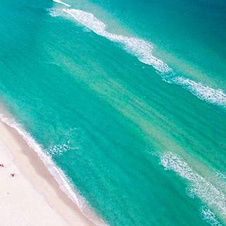 Summer colour wallpaper