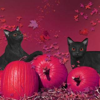 Kawaii desktop Halloween wallpaper