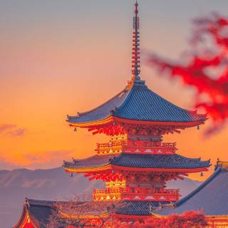 Japan city autumn wallpaper