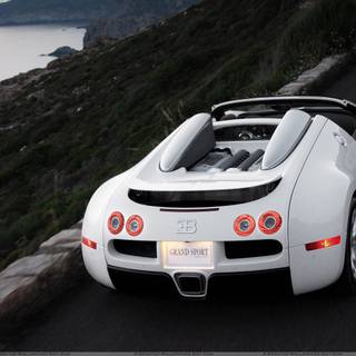 Bugatti Veyron white wallpaper