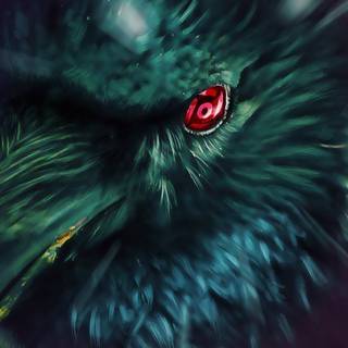 Itachi crows wallpaper