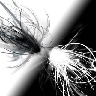 Summer black and white wallpaper