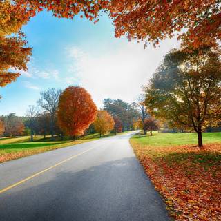 Autumn roadway wallpaper