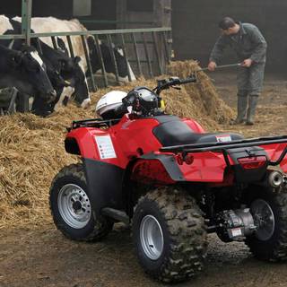 Honda Rancher wallpaper