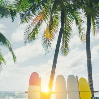 Summer beach surfboard wallpaper