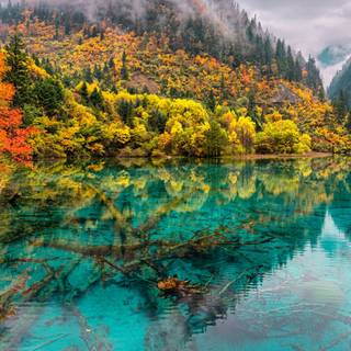 Colorful crystal desktop HD wallpaper