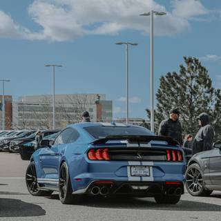 2022 Ford Shelby GT500 wallpaper