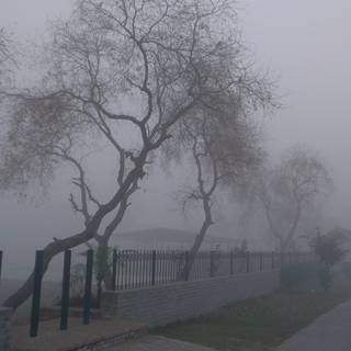 Aesthetic city street black wallpaper