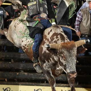 J.B. Mauney wallpaper