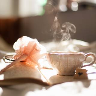 Calm morning wallpaper