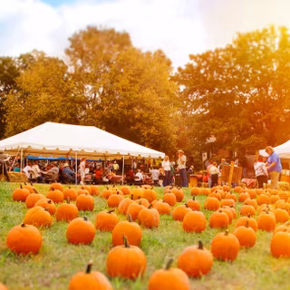 Fall festival wallpaper