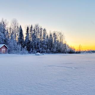 Freezing winter wallpaper