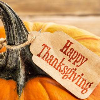 Cute Thanksgiving things wallpaper