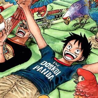 Straw Hat mobile 4k wallpaper