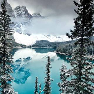 Winter iPhone 13 Pro wallpaper