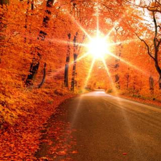 Autumn street PC wallpaper
