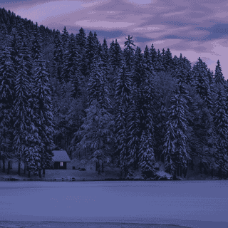 Winter aesthetic vibes wallpaper