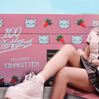 Tinakitten wallpaper